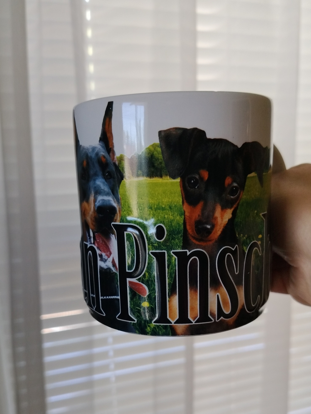 Custom Pinscher Dog Photo Mug - White